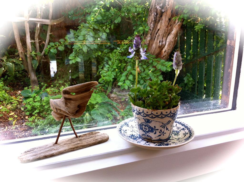 Sea Salt Bnb Rosebud Quarto foto