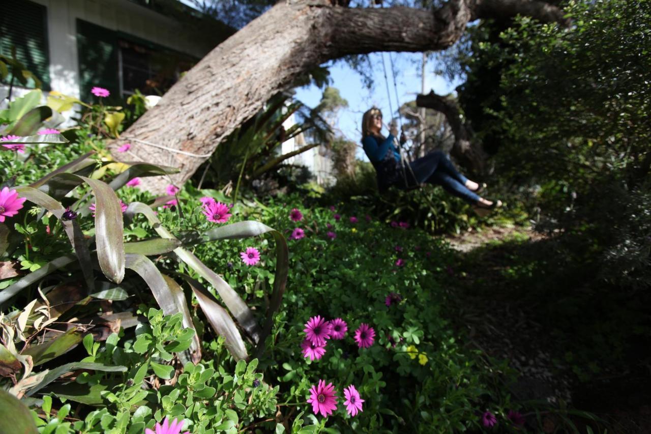 Sea Salt Bnb Rosebud Exterior foto
